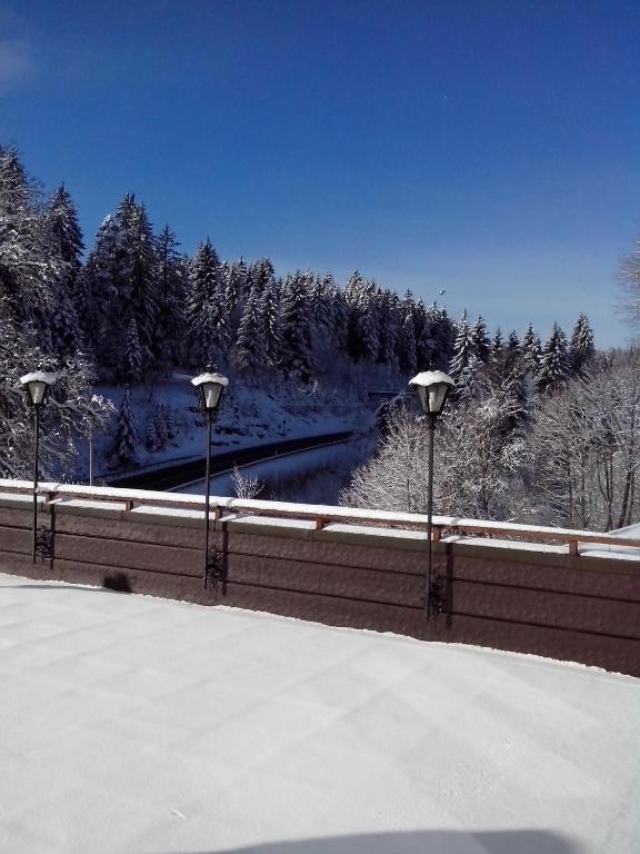 Hotel Cafe Gunter Kniebis Zewnętrze zdjęcie